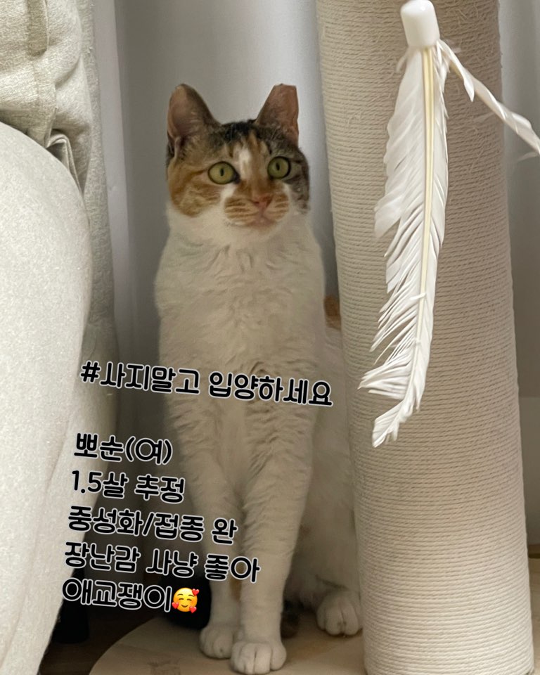 KakaoTalk_20250604_152404223.jpg