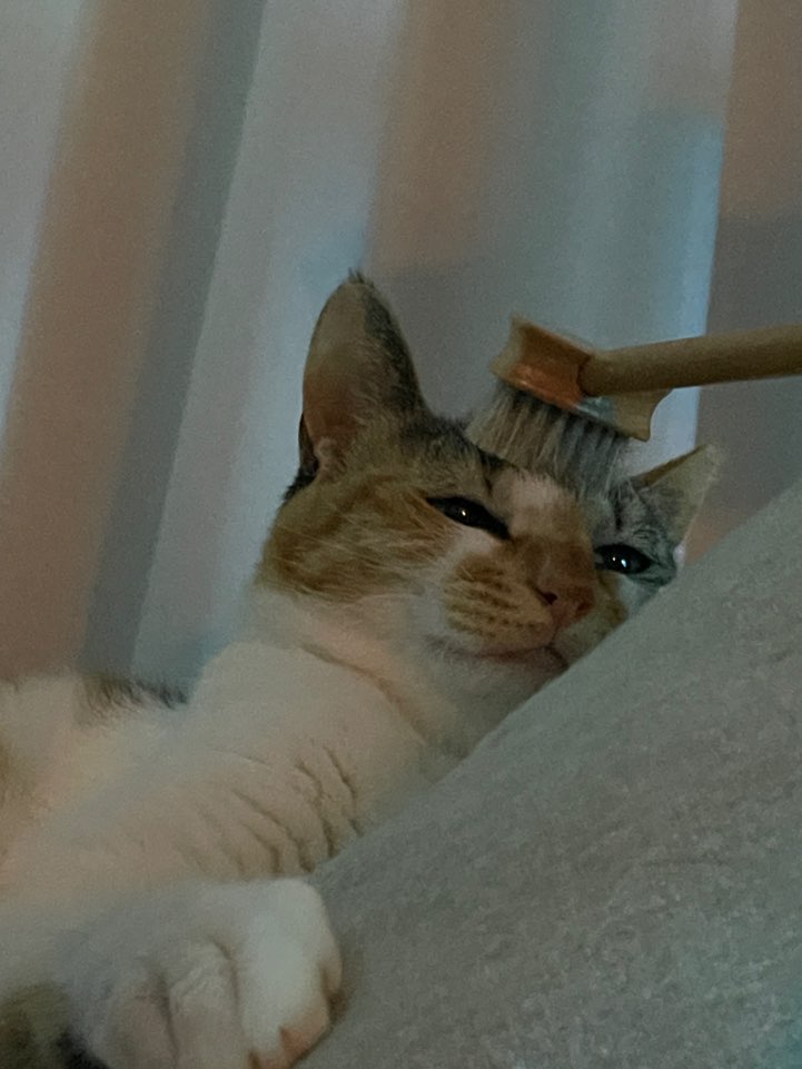 KakaoTalk_20250604_152549955.jpg