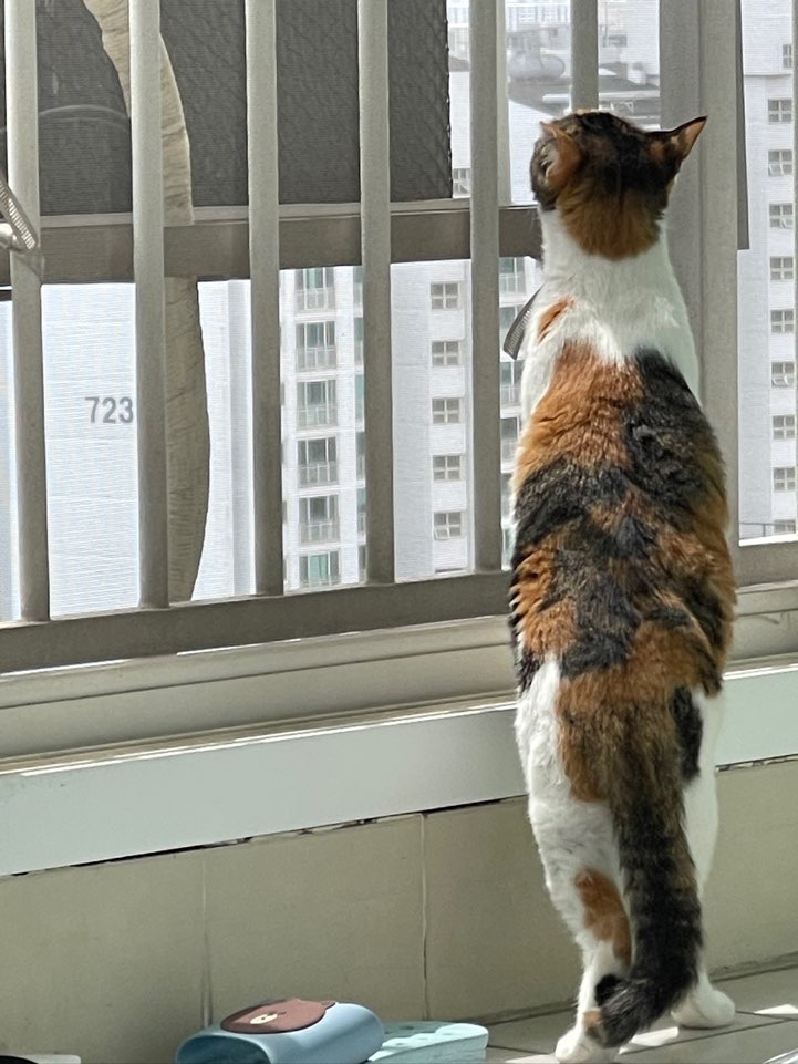 KakaoTalk_20250604_152631275.jpg