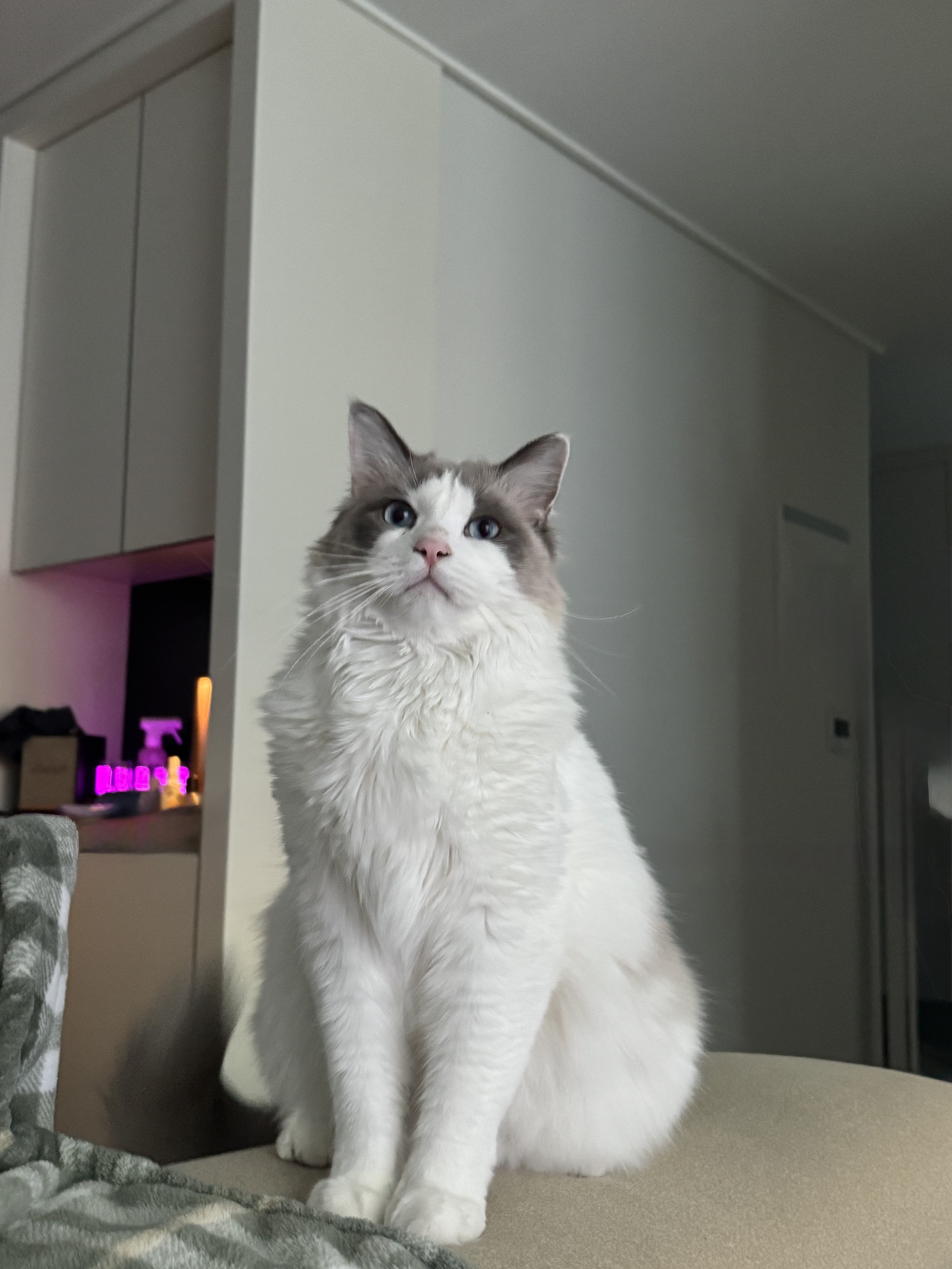 KakaoTalk_20250928_144240869.jpg