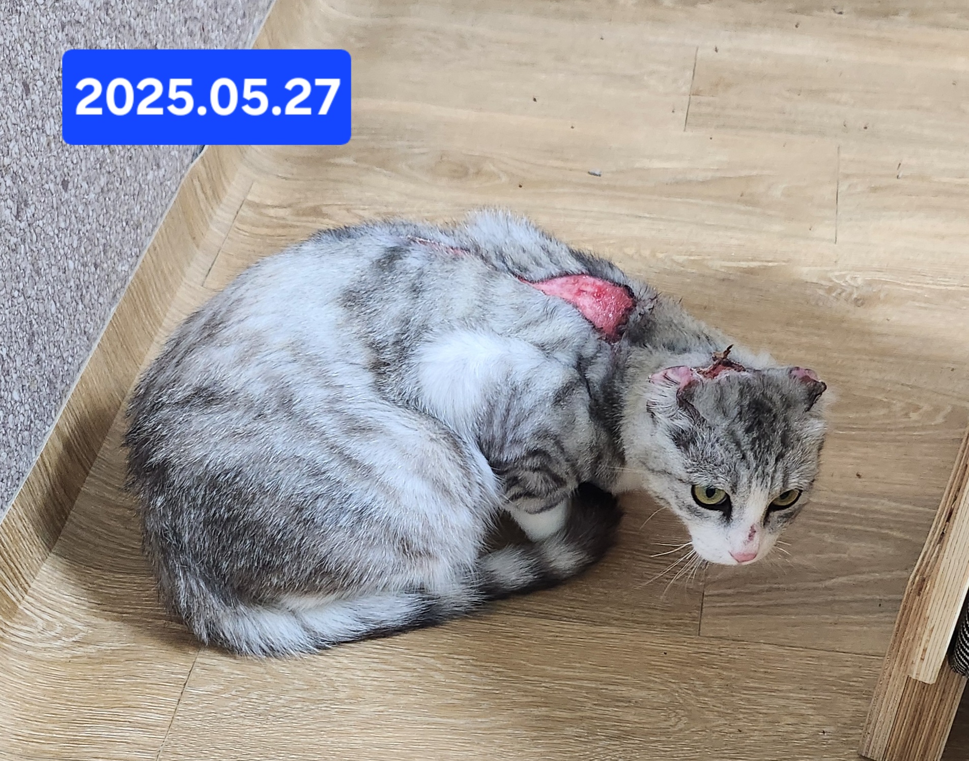 KakaoTalk_20250622_182154205.jpg