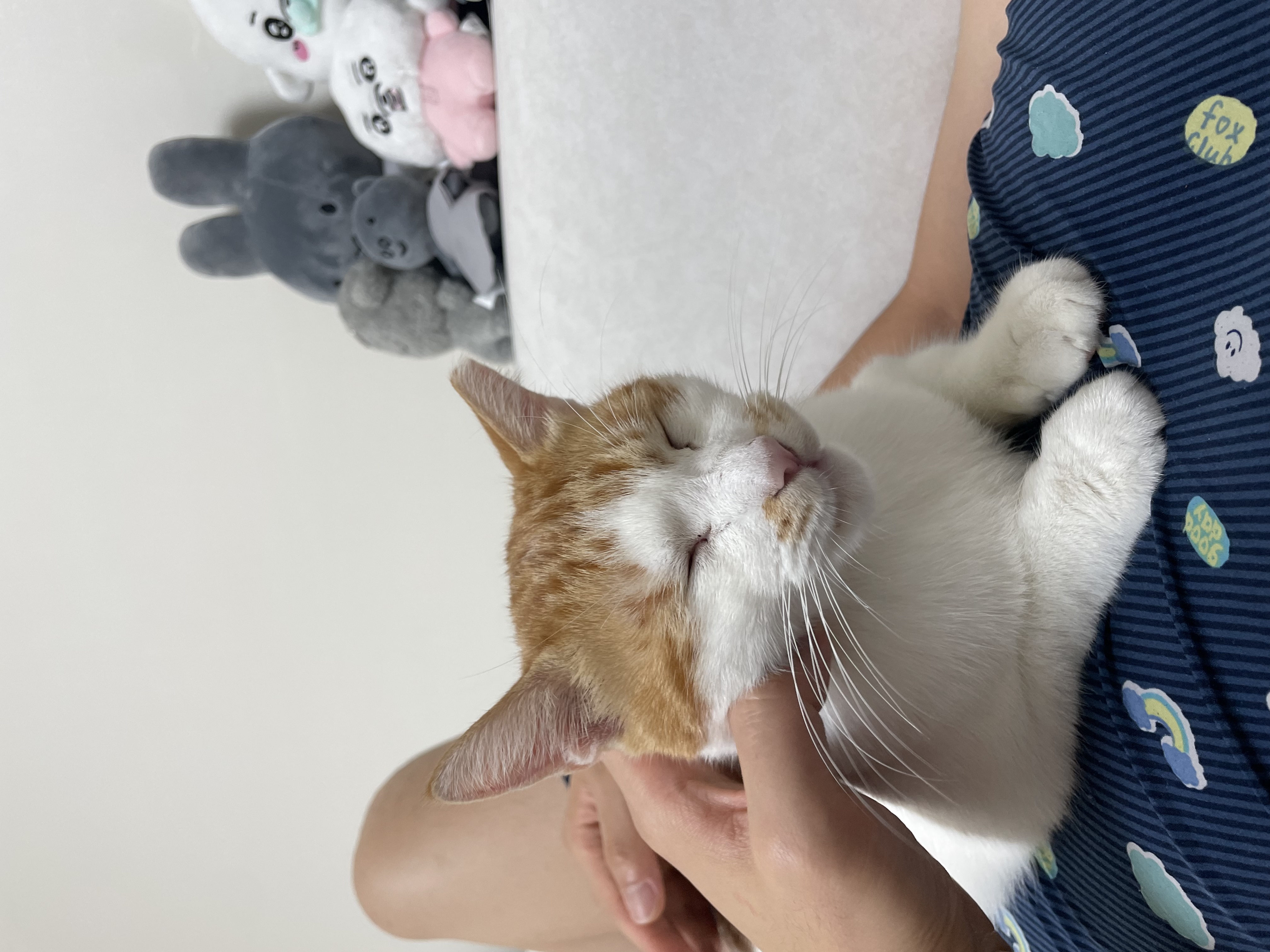 포도 2.jpg