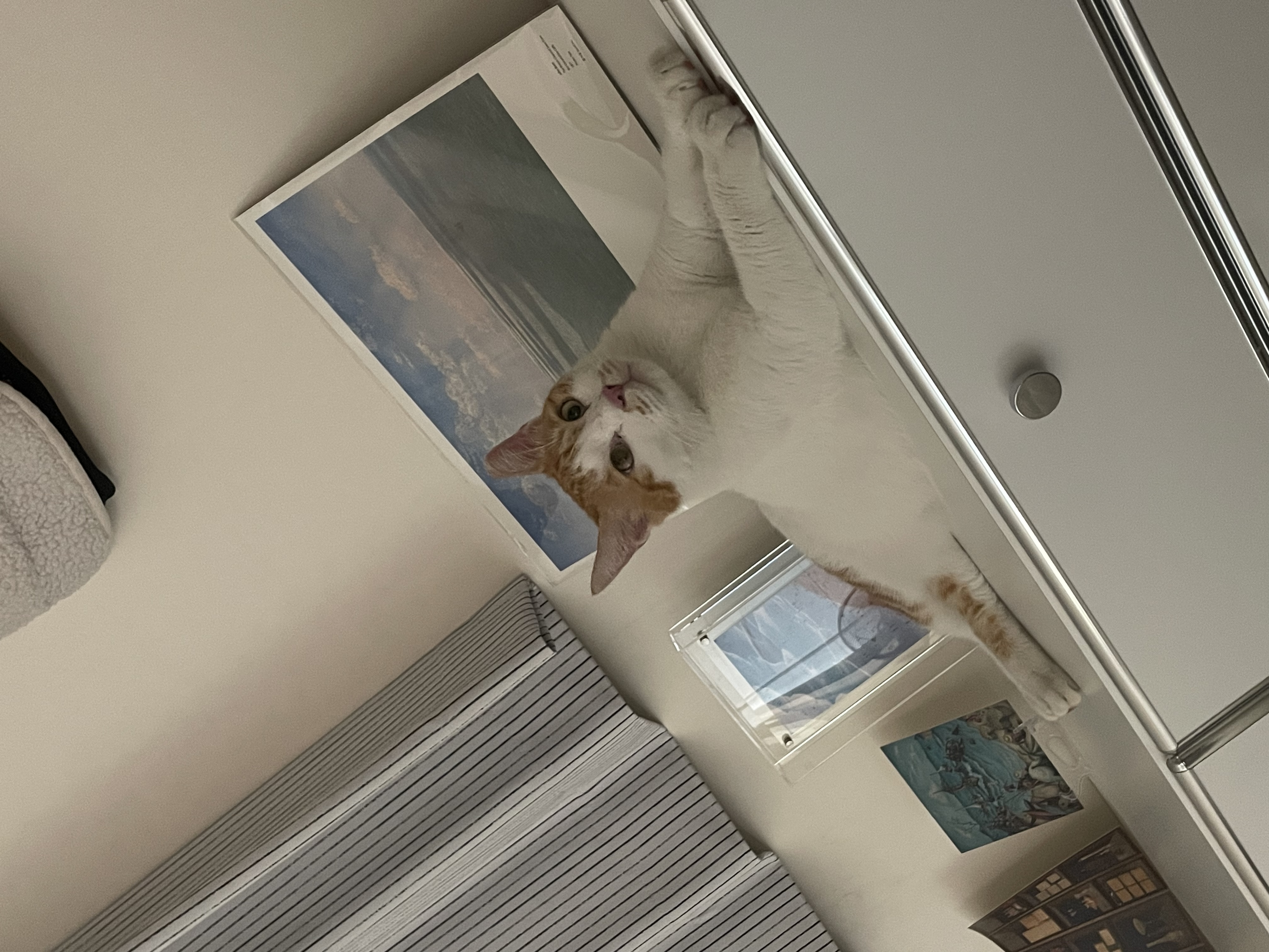 포도 9.jpg