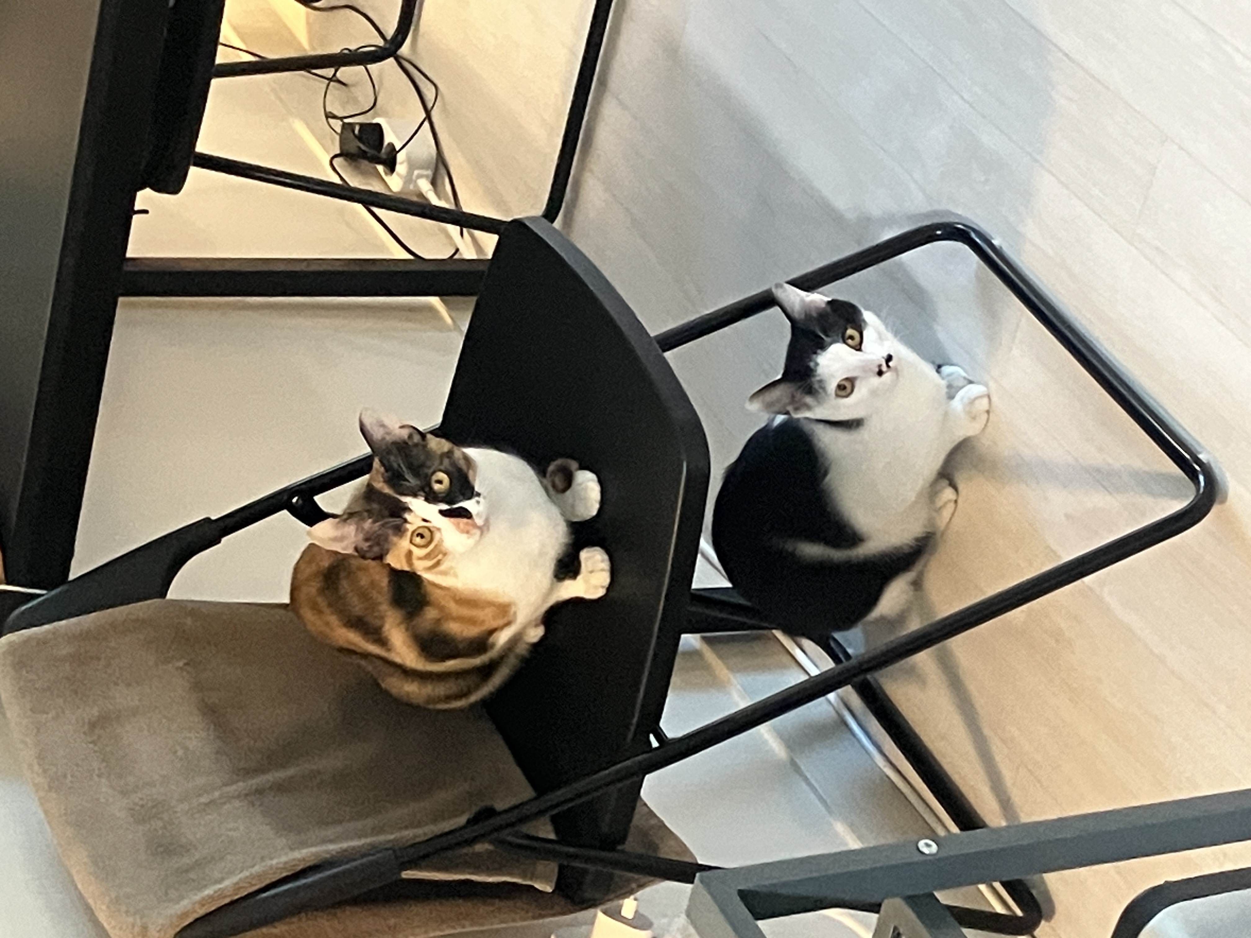 3.JPG