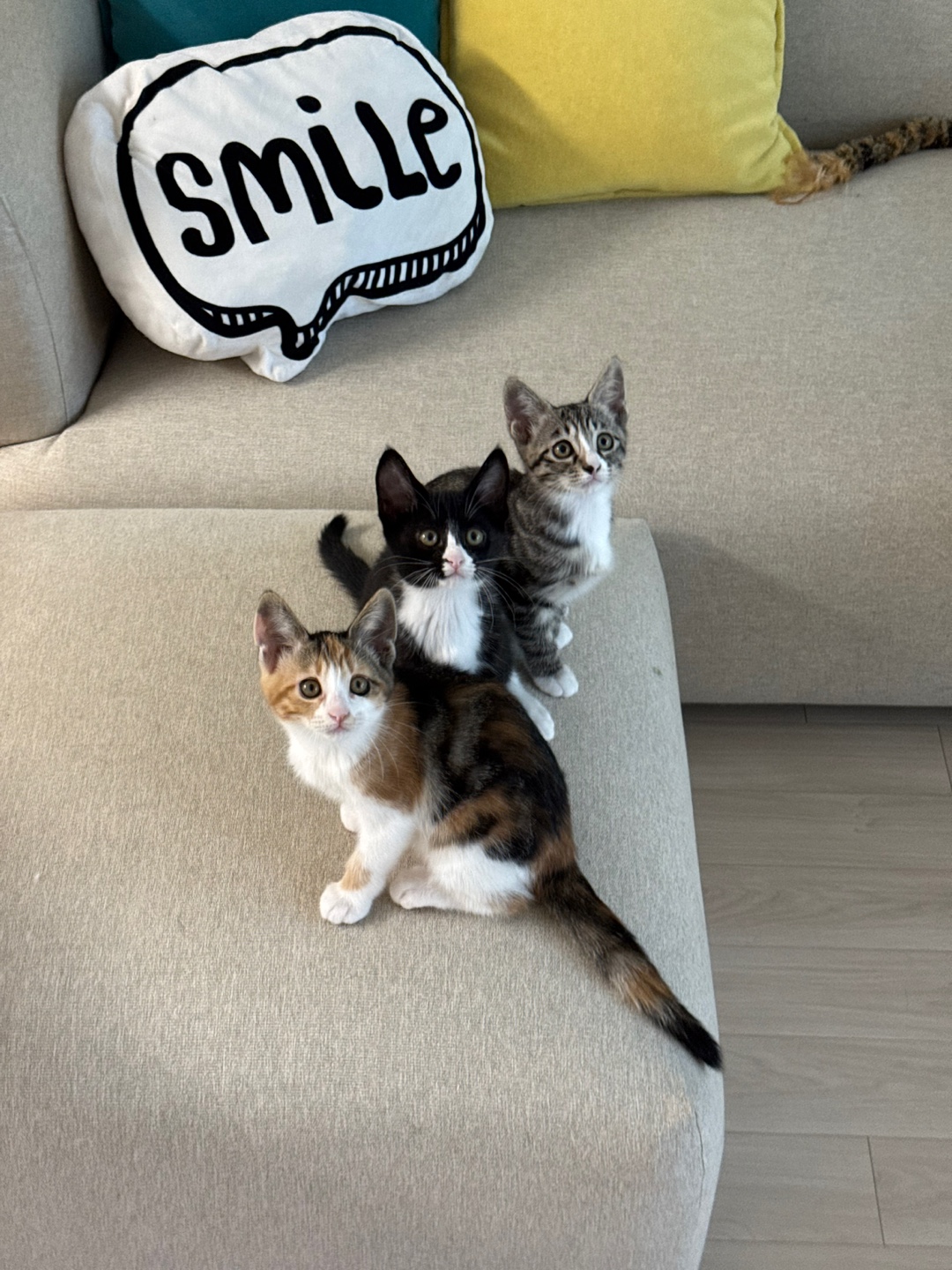 KakaoTalk_20250610_170528847_10.jpg