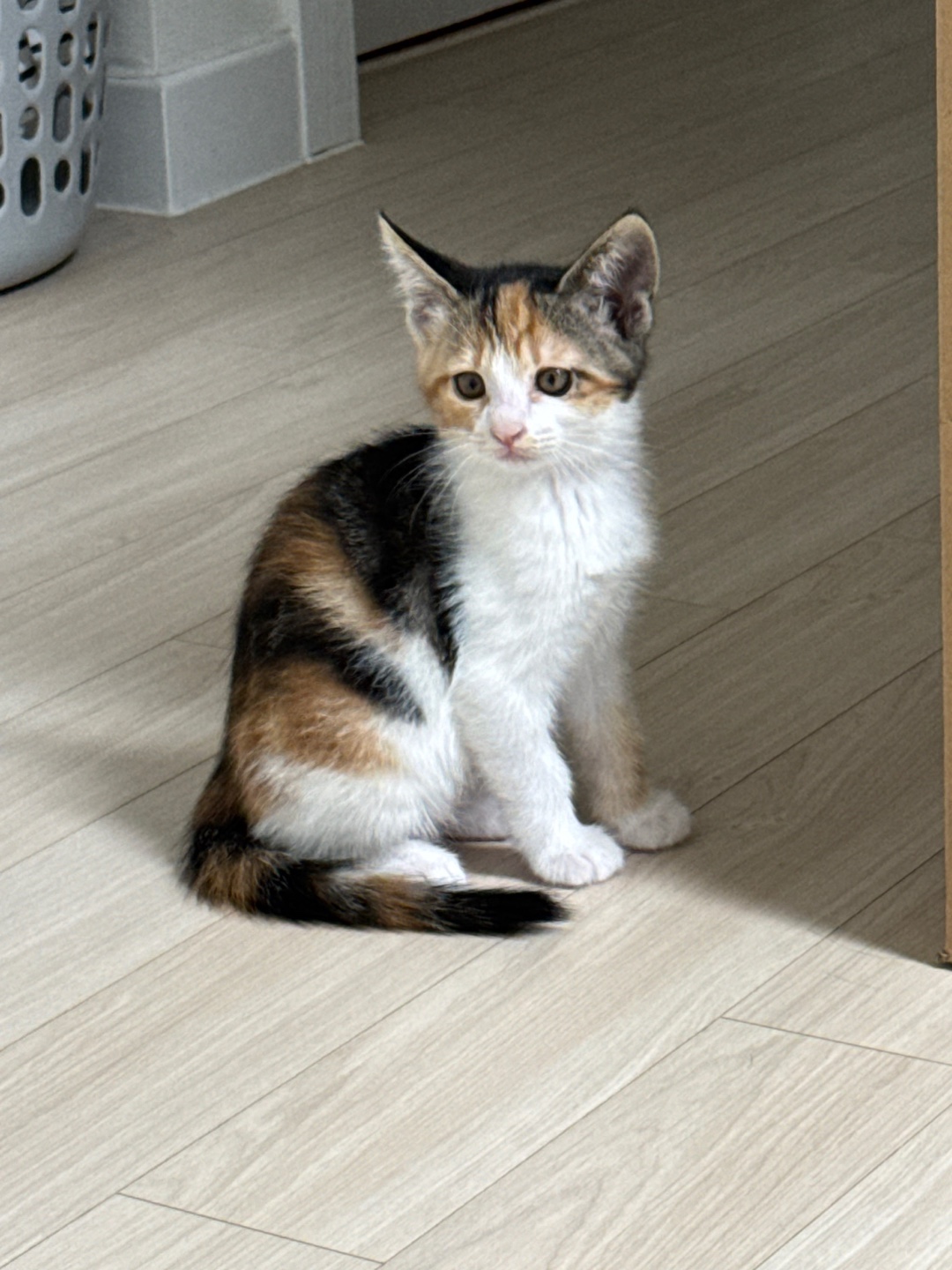 KakaoTalk_20250609_112909270_15.jpg