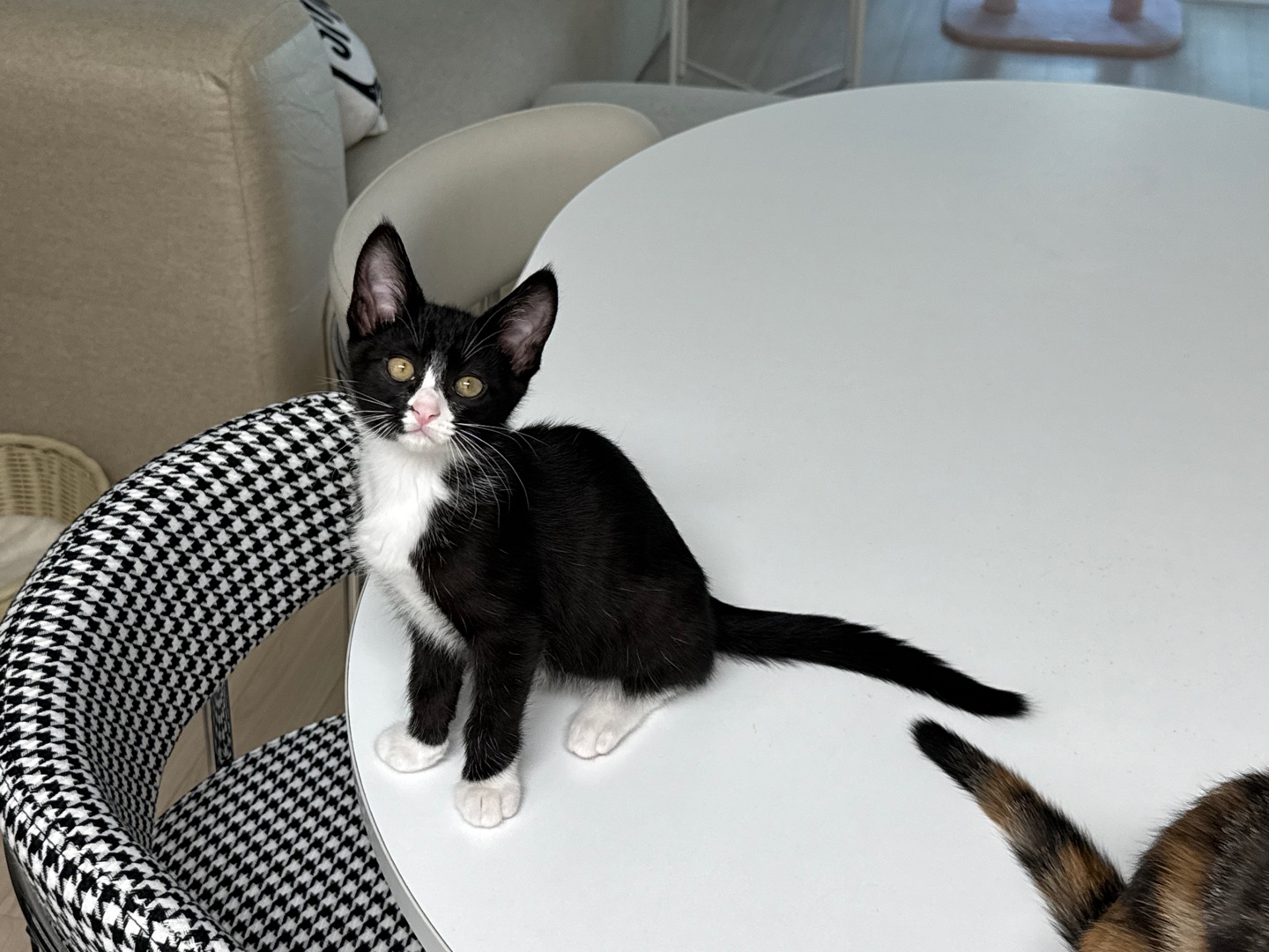 KakaoTalk_20250610_170528847_05.jpg