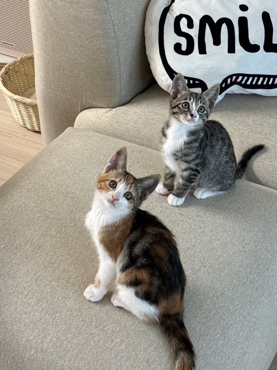 KakaoTalk_20250610_170528847_12.jpg
