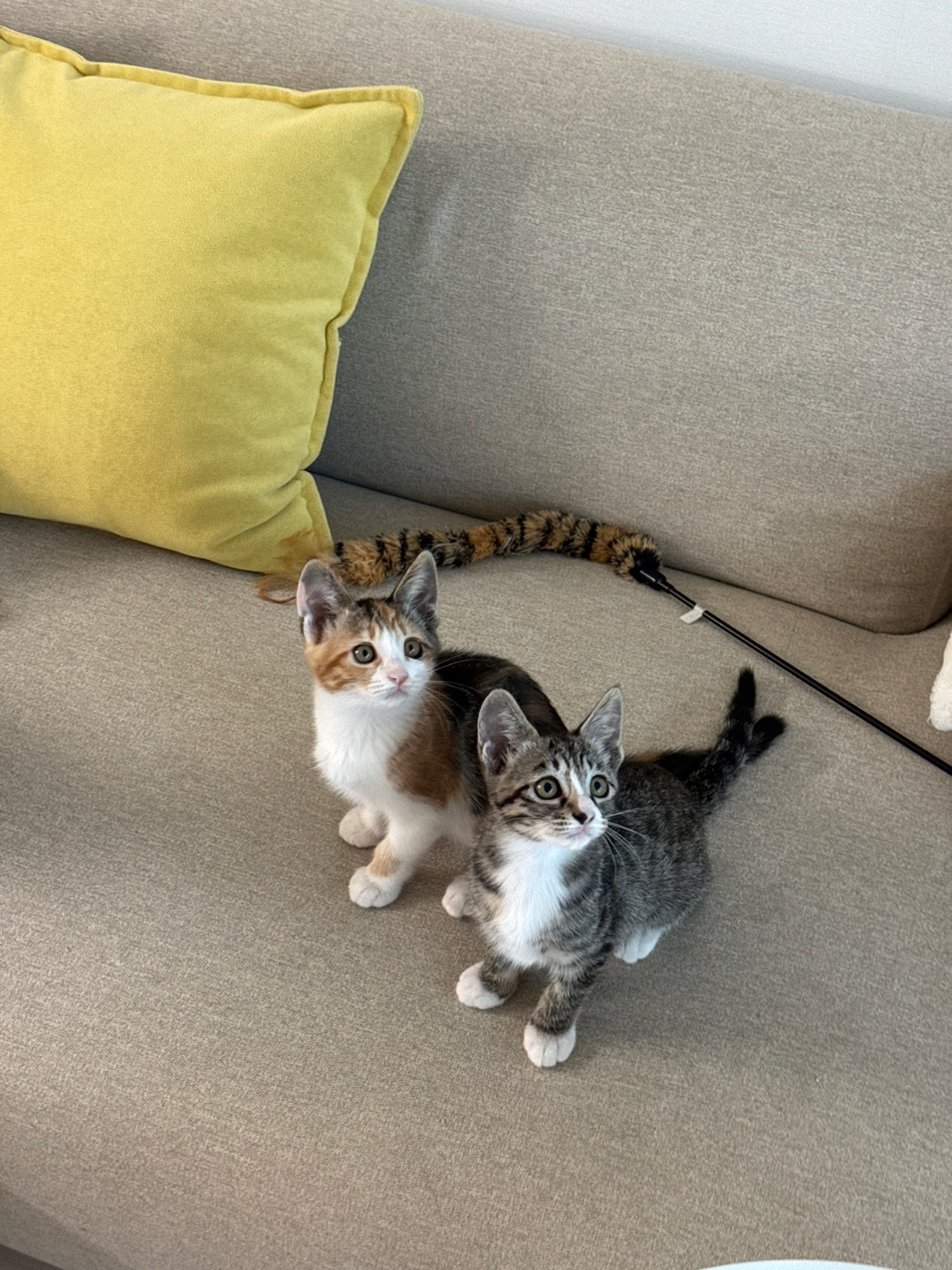 KakaoTalk_20250610_170528847_16.jpg