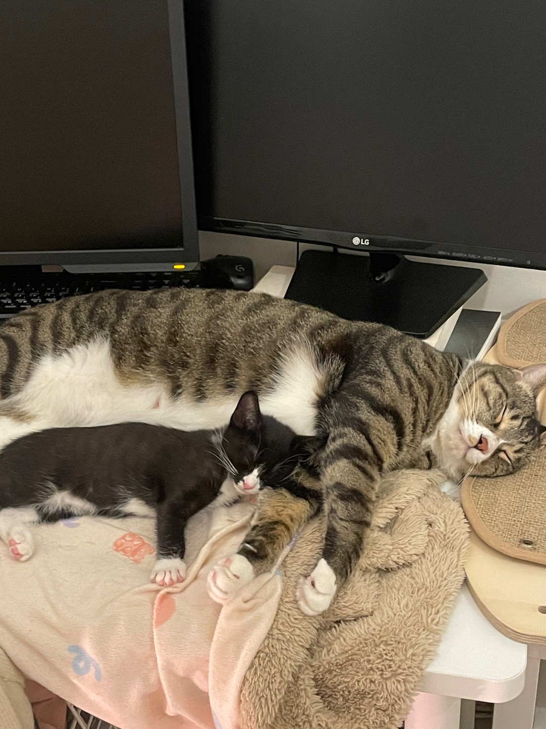 KakaoTalk_20250609_112910593_07.jpg