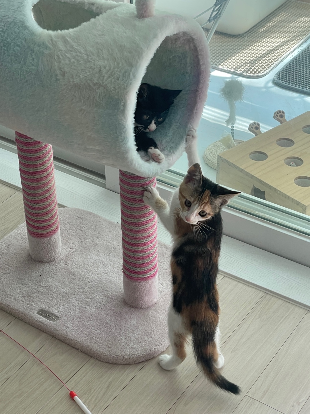 KakaoTalk_20250609_112909270_01.jpg