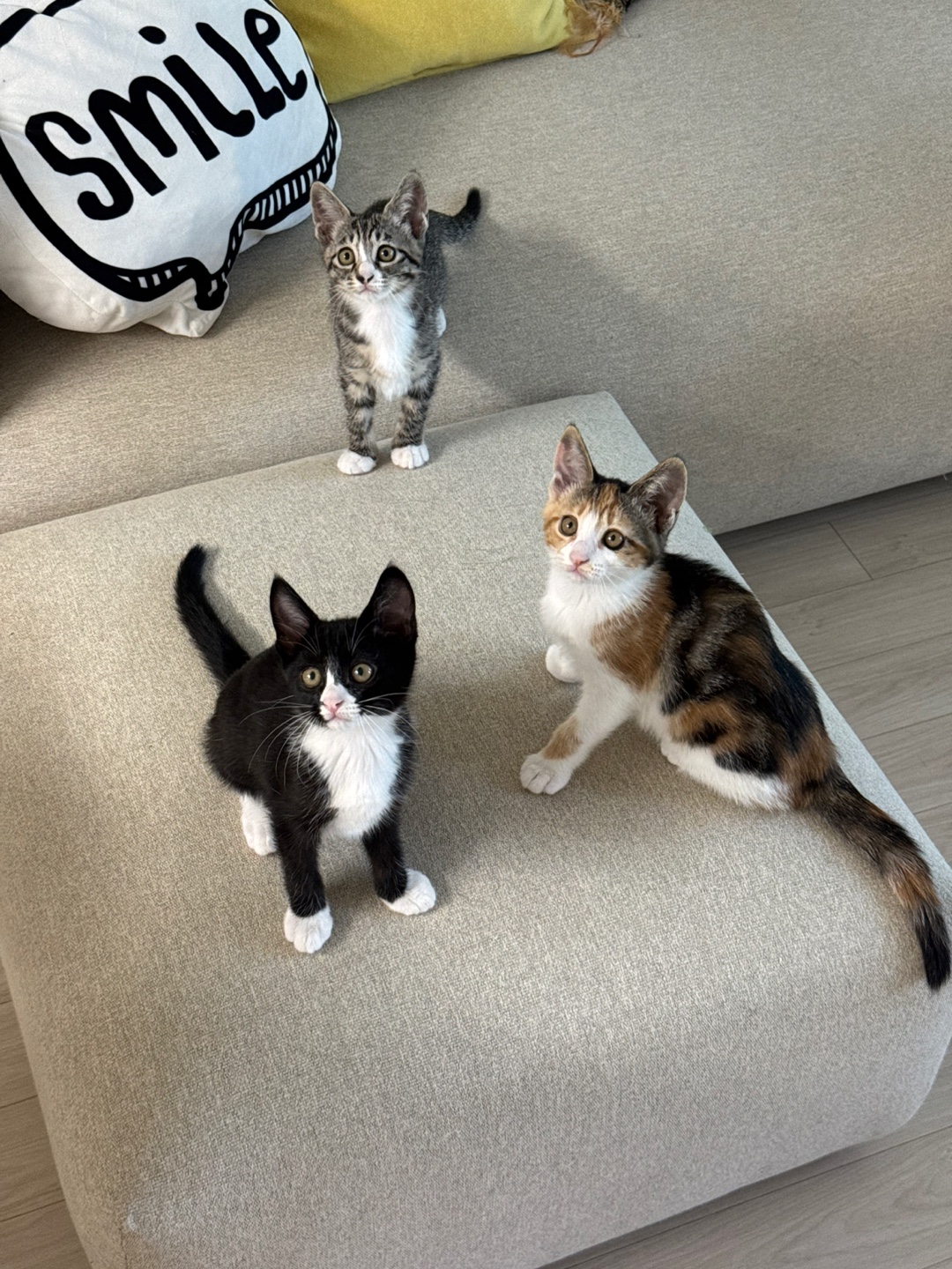KakaoTalk_20250610_170528847_14.jpg