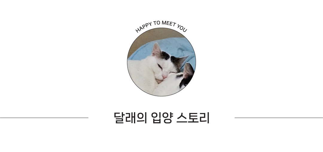 썸네일2.jpg