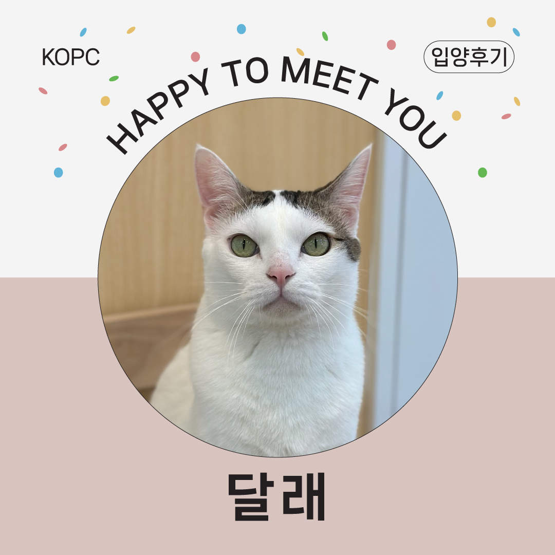 썸네일.jpg