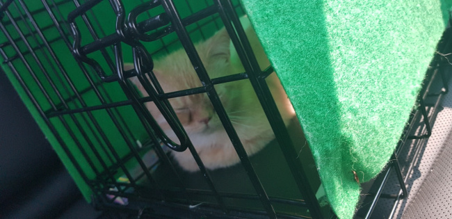 Resized_20190602_150436.jpeg