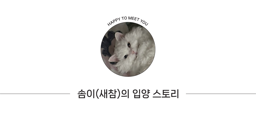솜이(2).jpg