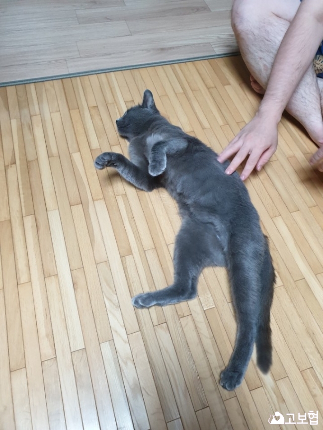 (3).jpg