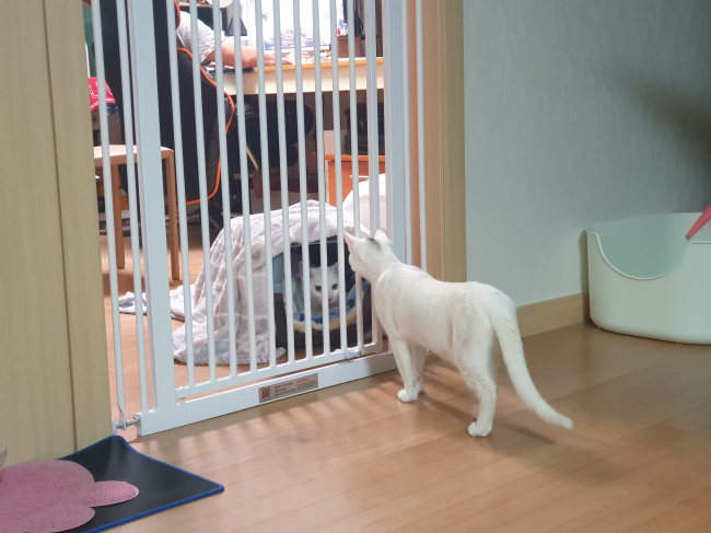 KakaoTalk_20201013_162427788.jpg