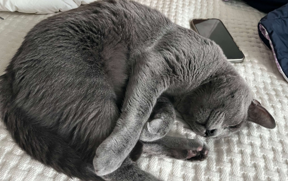 eba(러블) (10).png