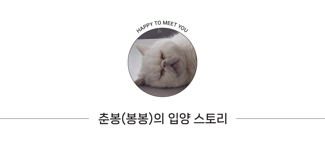 입양후기-춘봉2.jpg