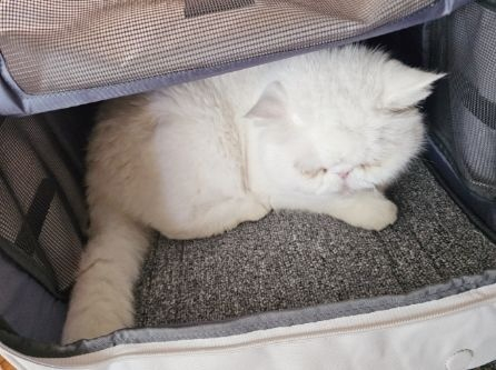 춘봉 (1).jpg