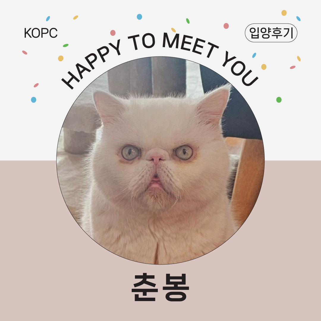 입양후기-춘봉.jpg