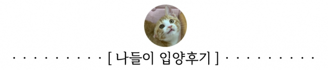 나들이 (2).jpg