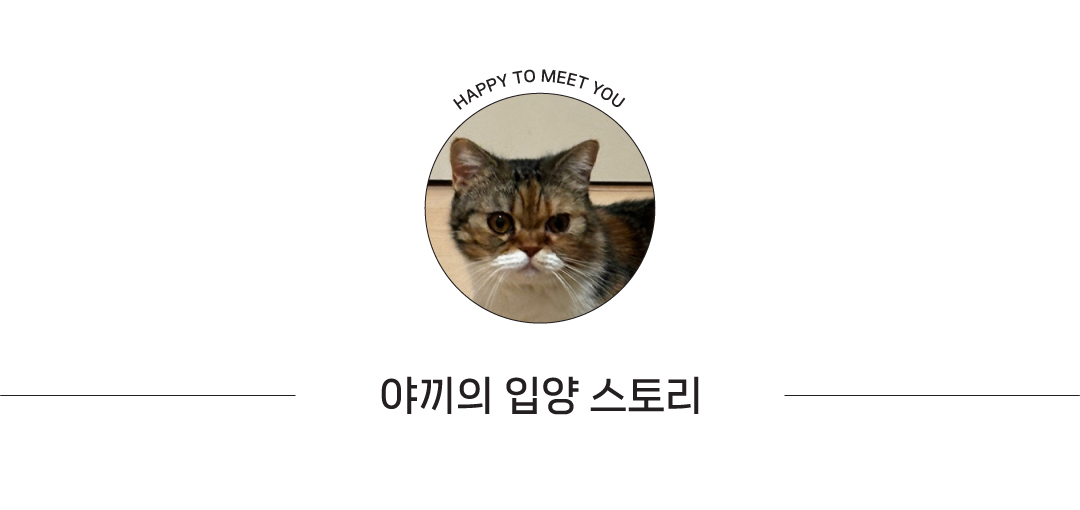 썸네일2.jpg