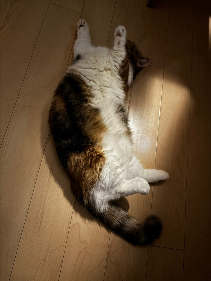 11.jpg