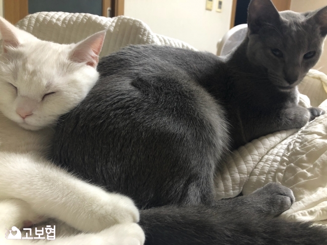 KakaoTalk_20180806_115623661.jpg