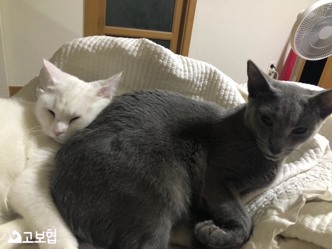 KakaoTalk_20180806_115624745.jpg