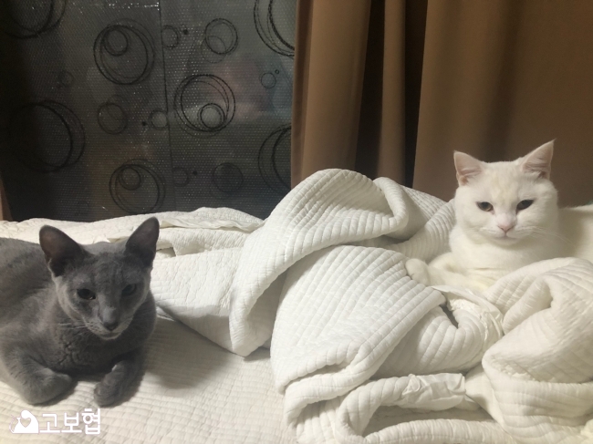 KakaoTalk_20180801_113534832.jpg