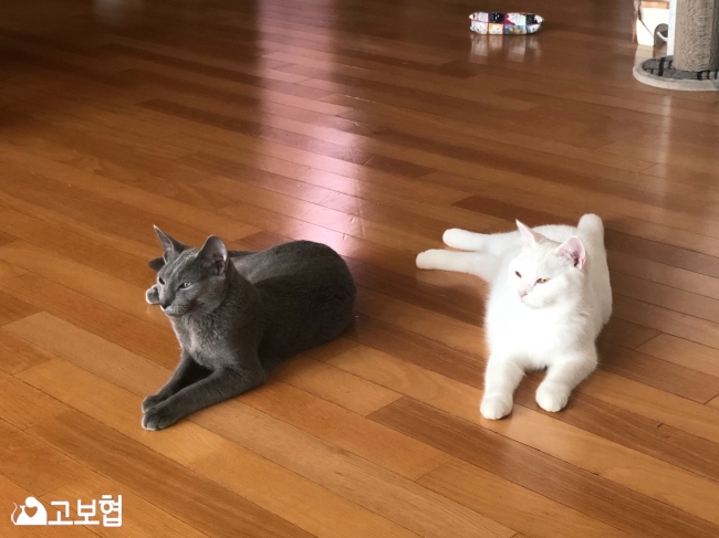 KakaoTalk_20180801_113537557.jpg