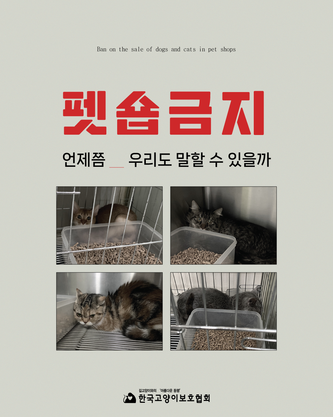 펫숍1.jpg