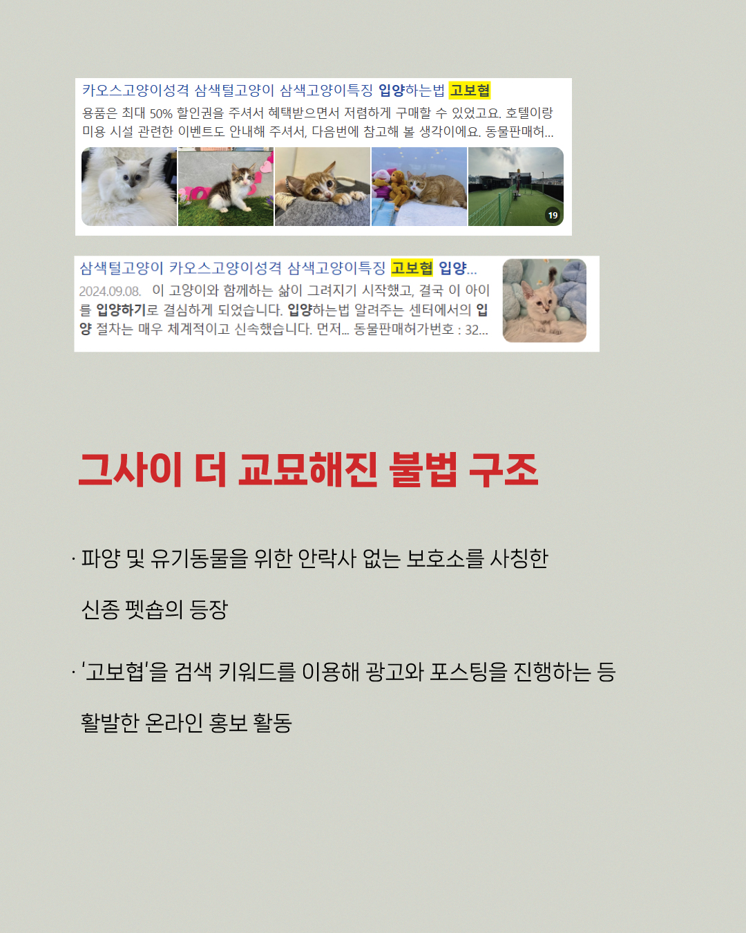 펫숍4.jpg