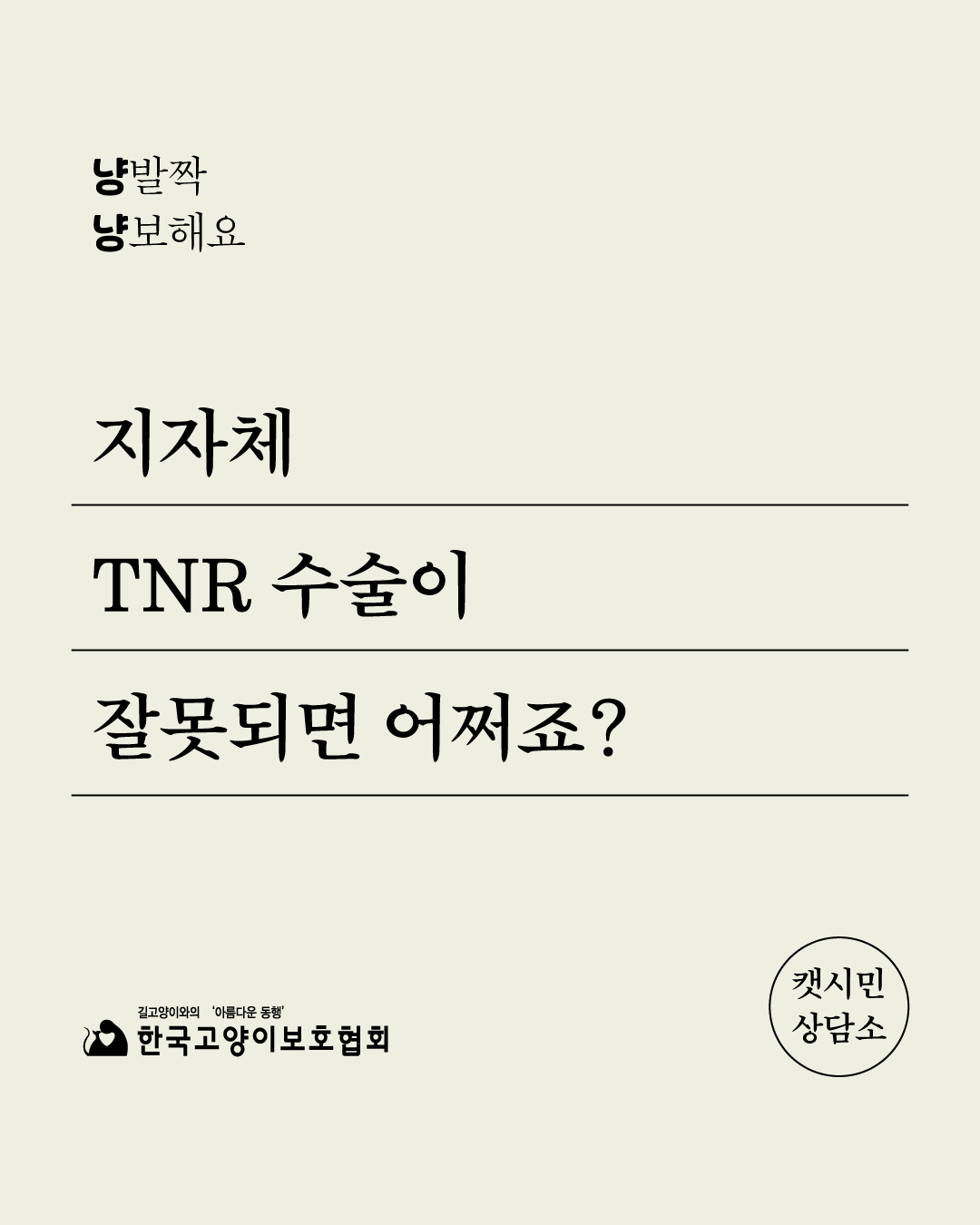 tnr지침위반1.jpg