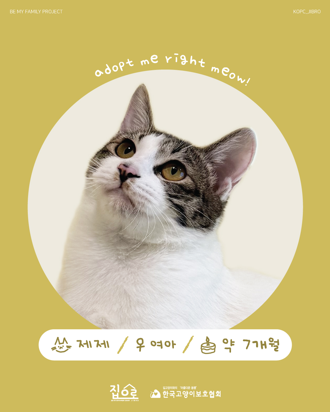 제제1.jpg