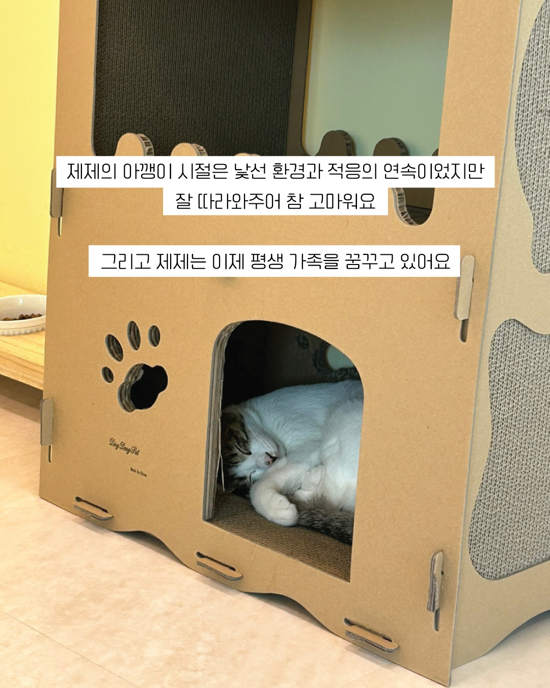 제제11.jpg