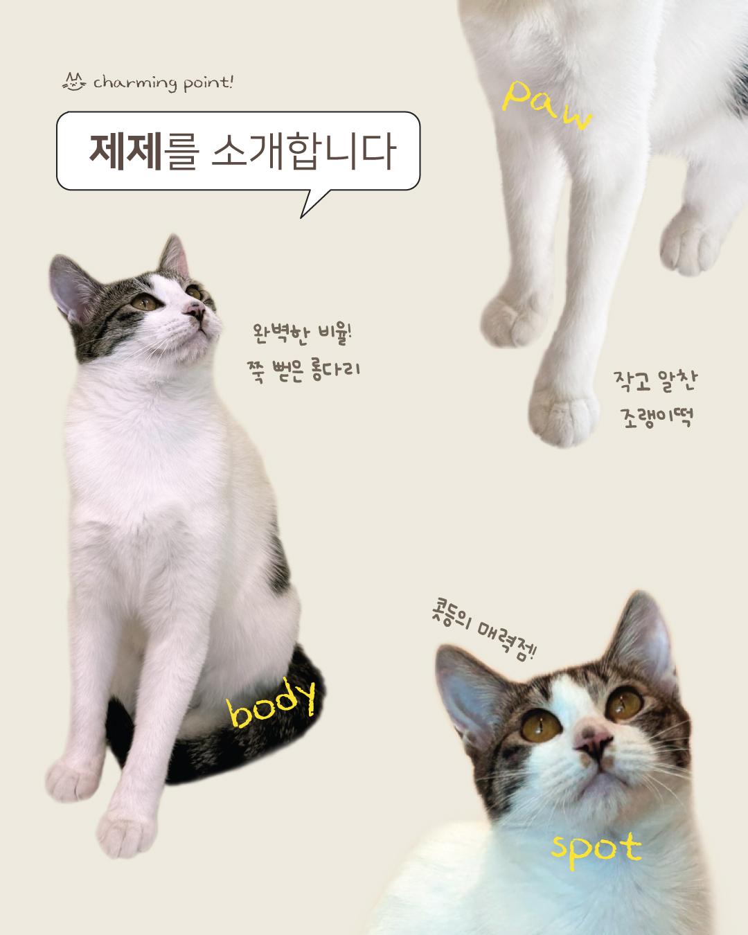 제제2.jpg