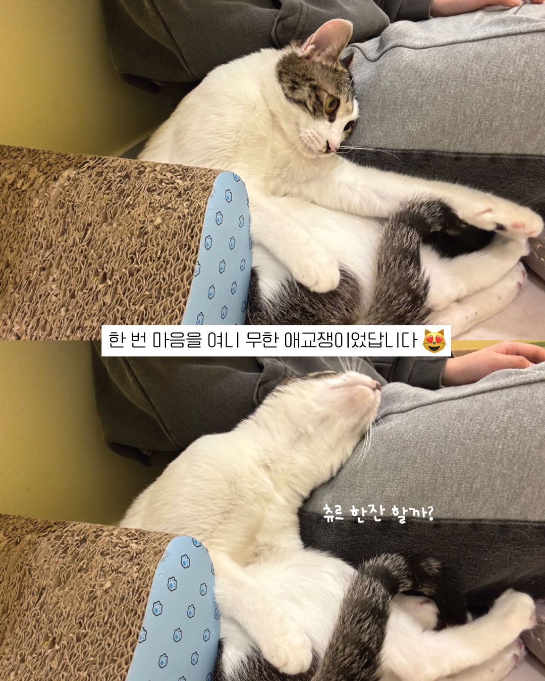 제제6.jpg