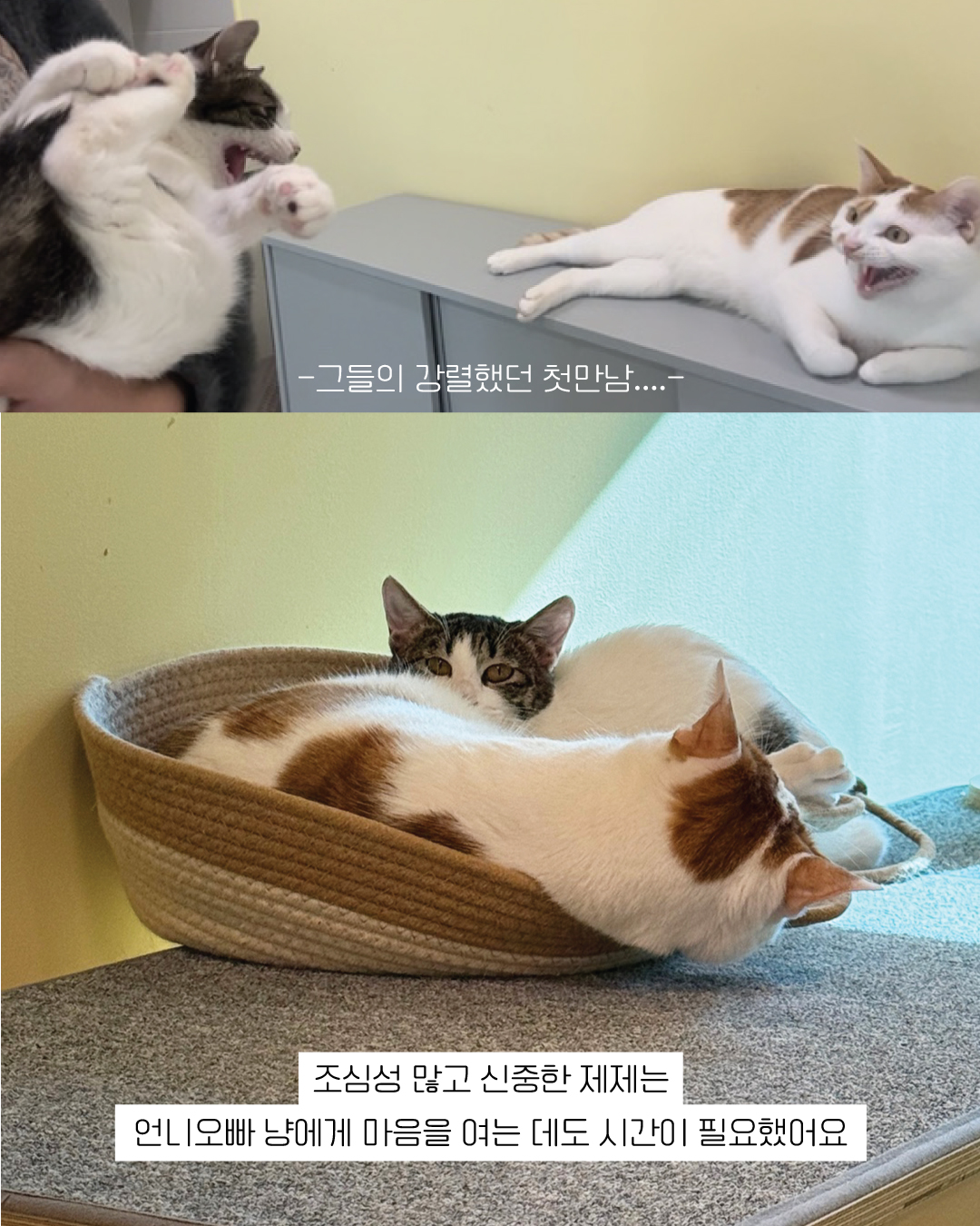 제제7.jpg