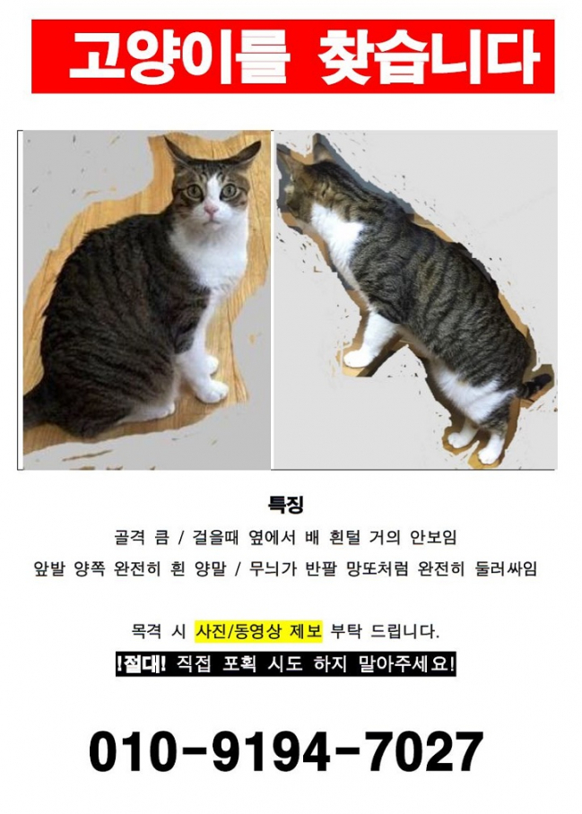 21.06 2_2.jpg