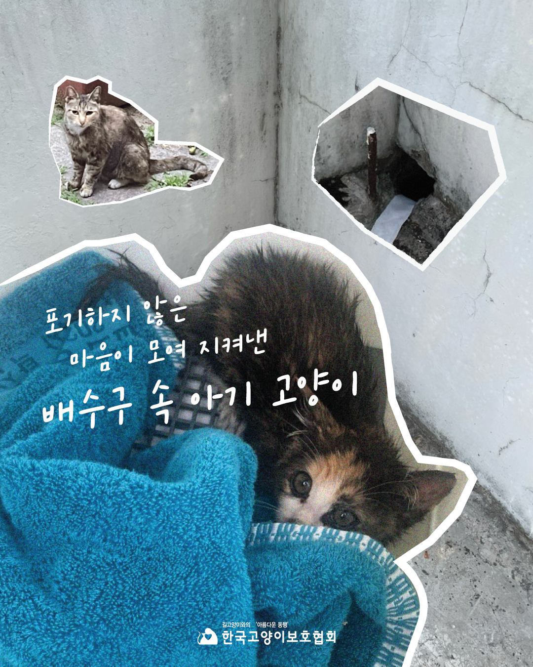 배수구1.jpg