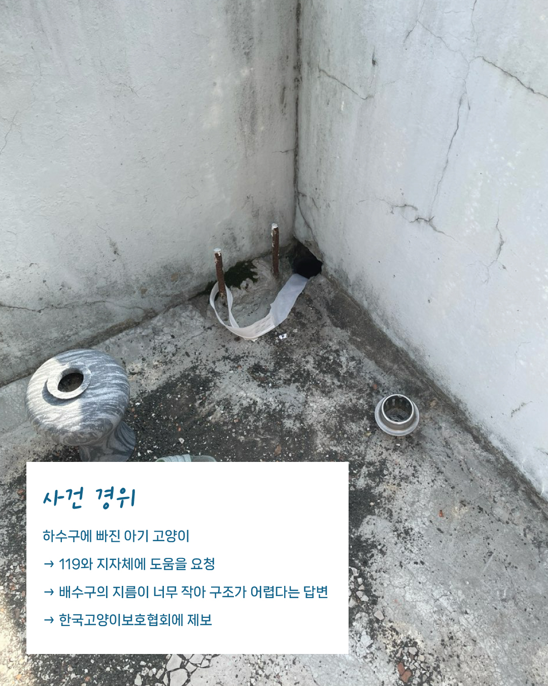 배수구2.jpg