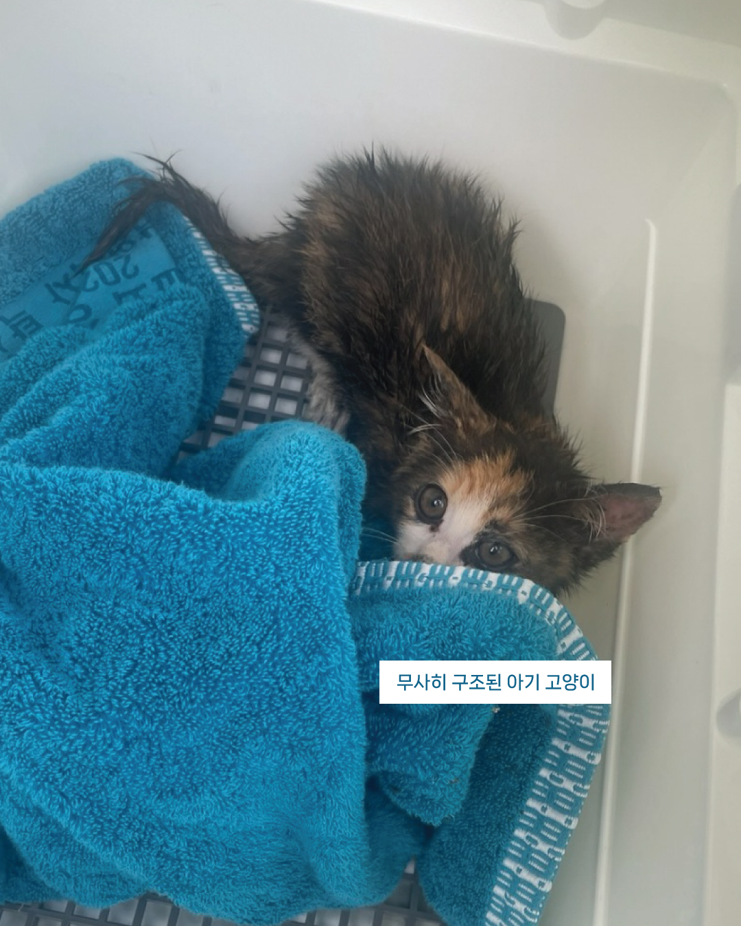 배수구5.jpg