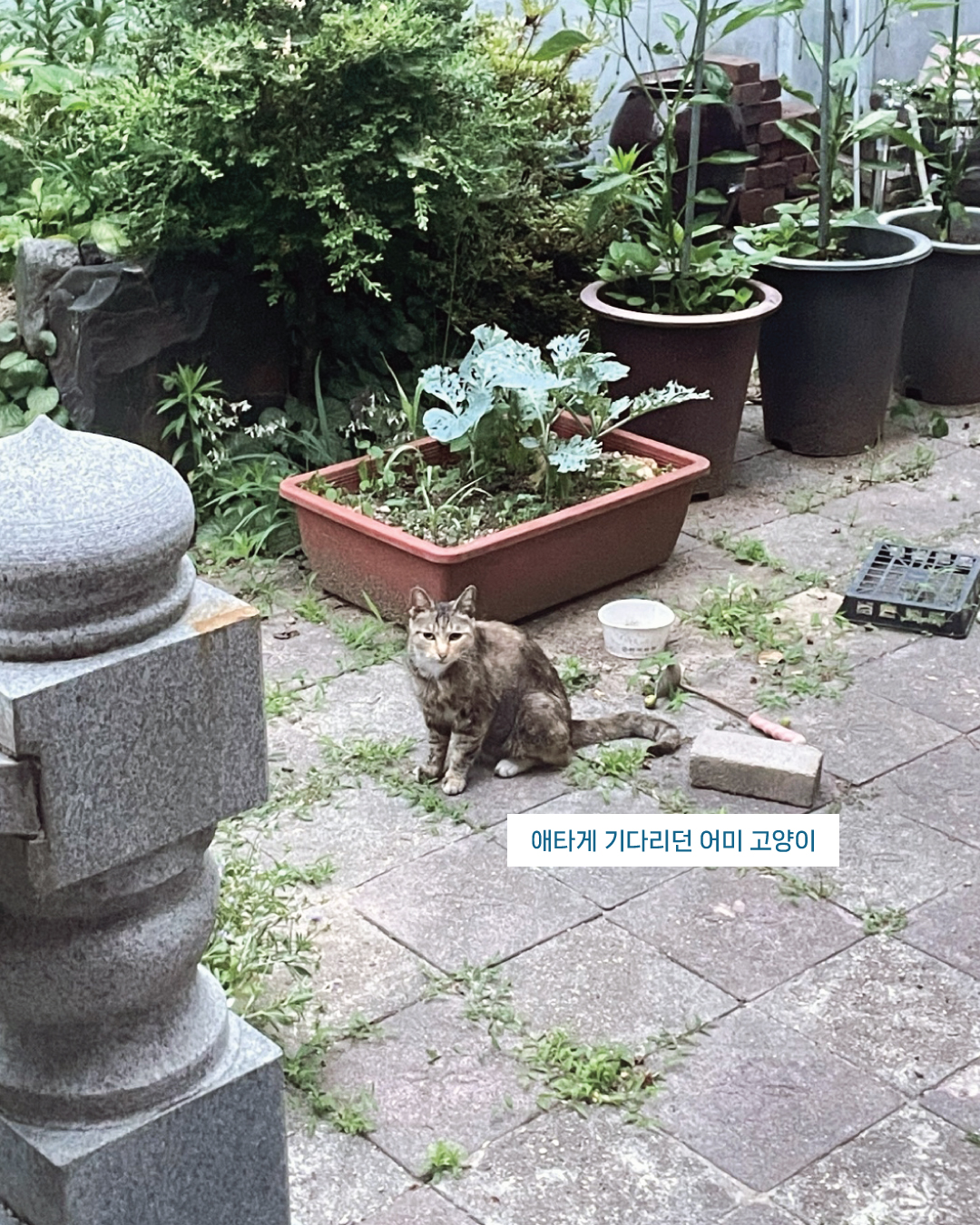 배수구6.jpg