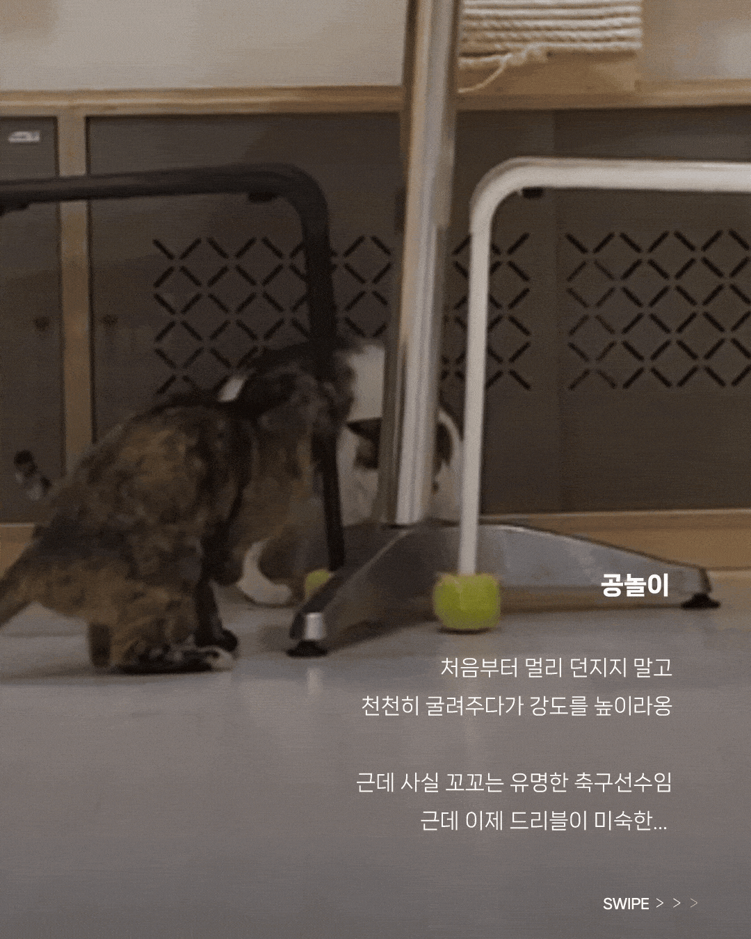 7 (1)-min.gif