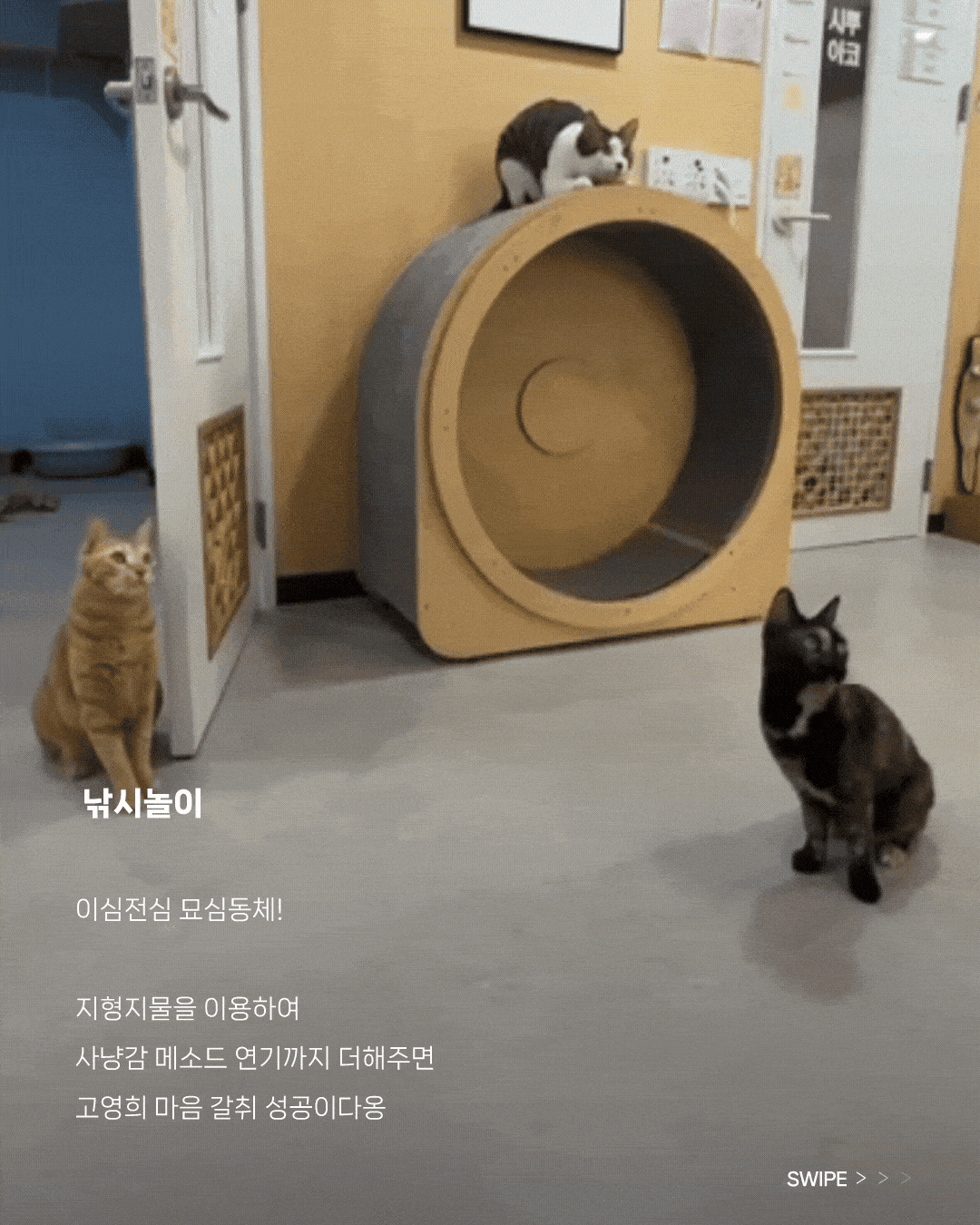 3-min.gif