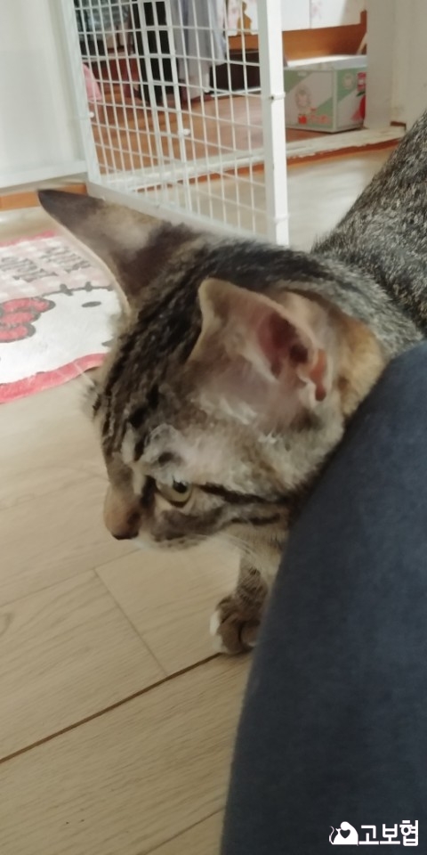 KakaoTalk_20180529_085920411.jpg