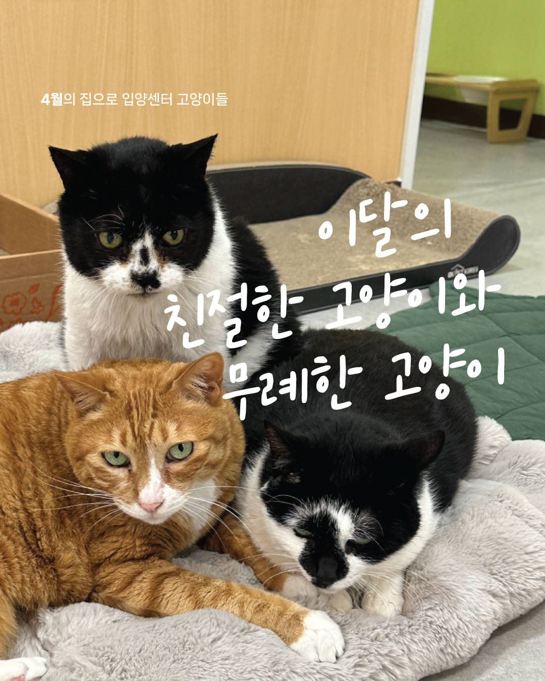4월1.jpg